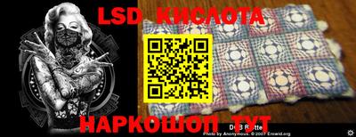спиды Гатчина