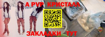 спиды Гатчина