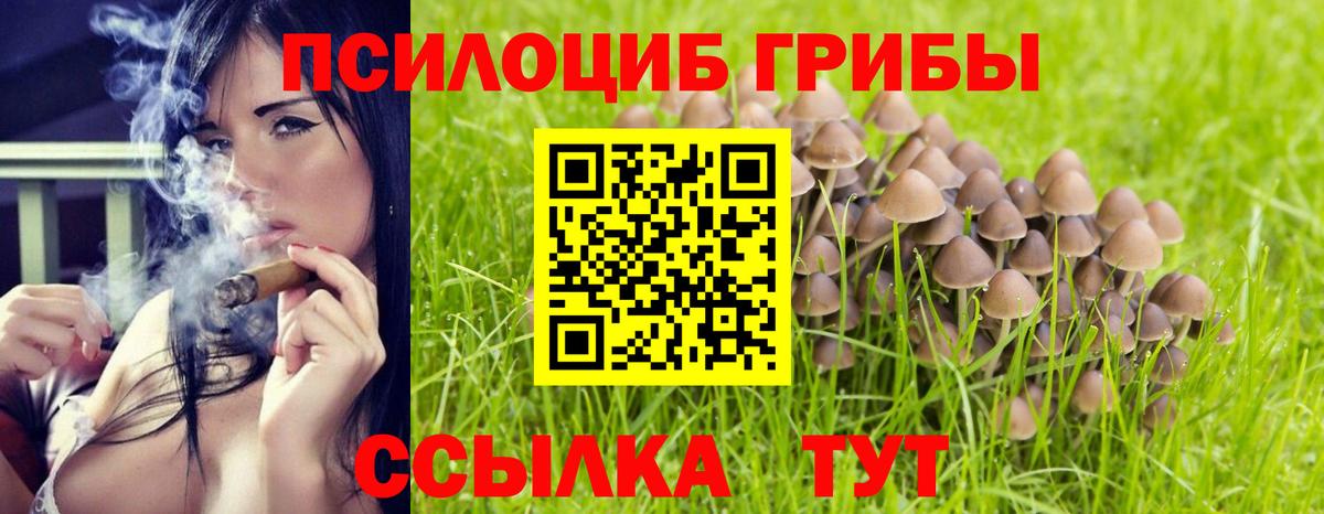 как найти закладки  Вход с VPN  Новошахтинск  Галлюциногенные грибы ЛСД 